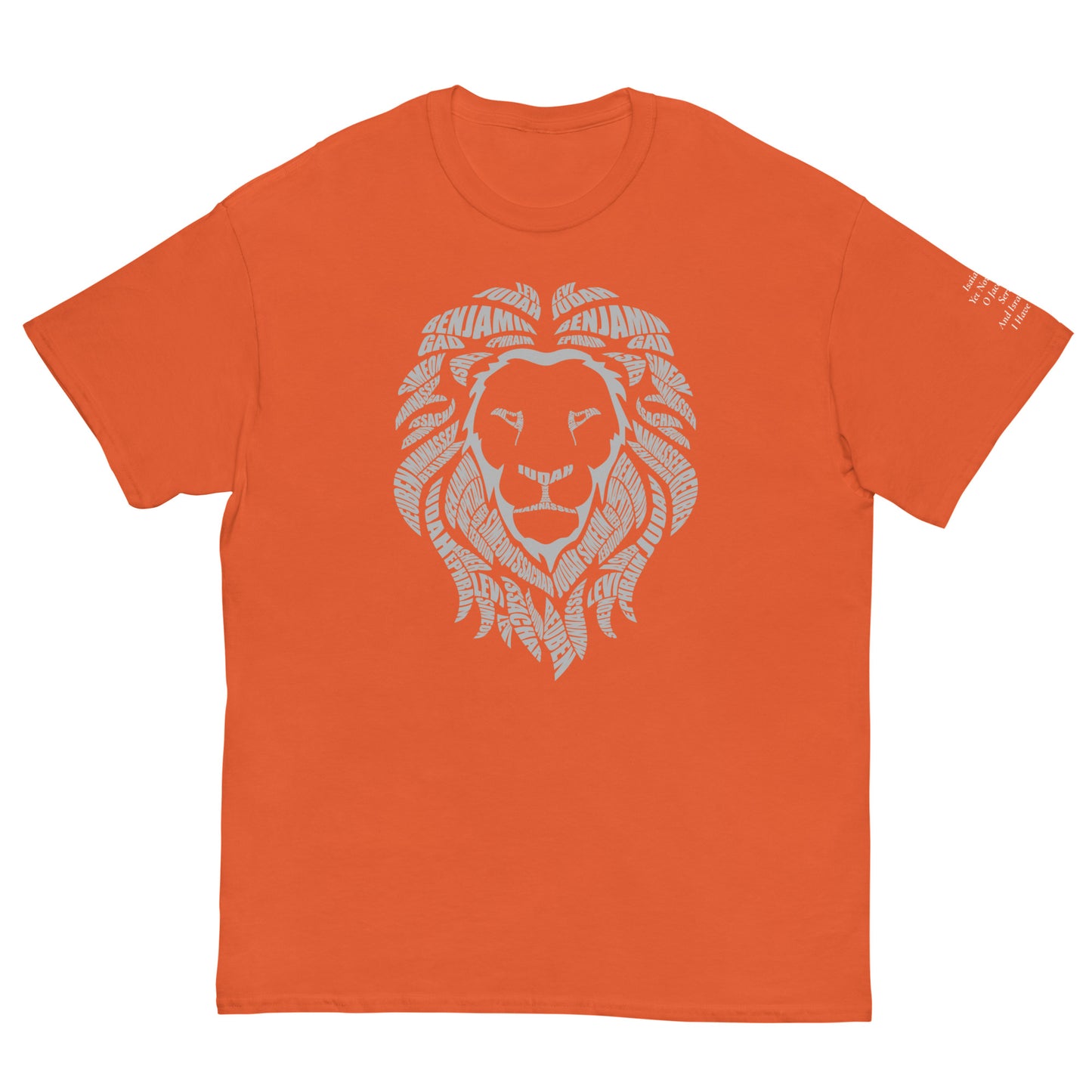 Men's Classic Tee | 100% cotton T-shirts | 12Telve